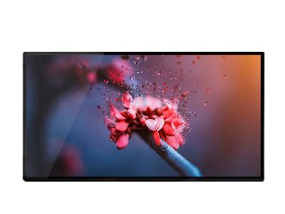 22寸高亮屏, 1680×1050, 1050亮度, LVDS接口, 如新户外高亮屏, 工业用高亮屏