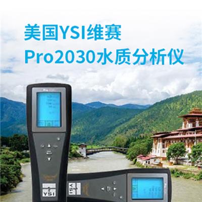 美国YSI维赛 Pro2030水质分析仪